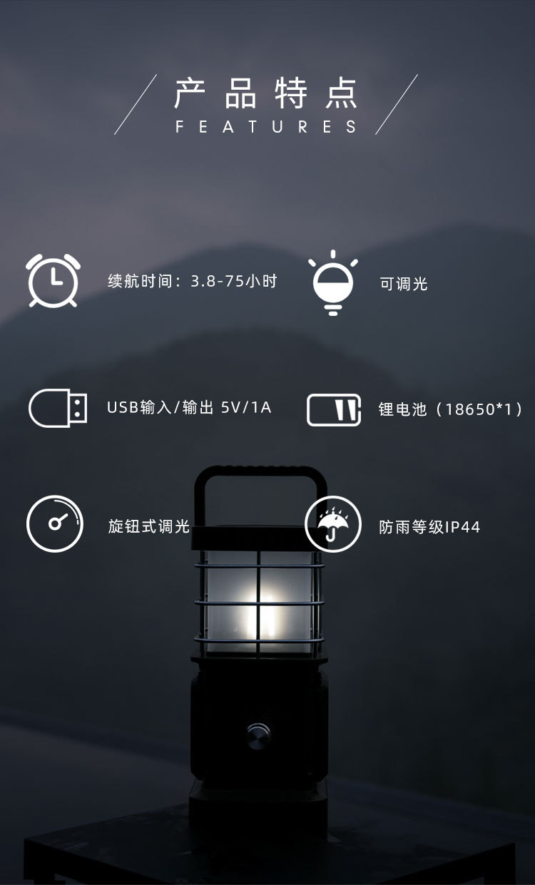 ysg_03.jpg
