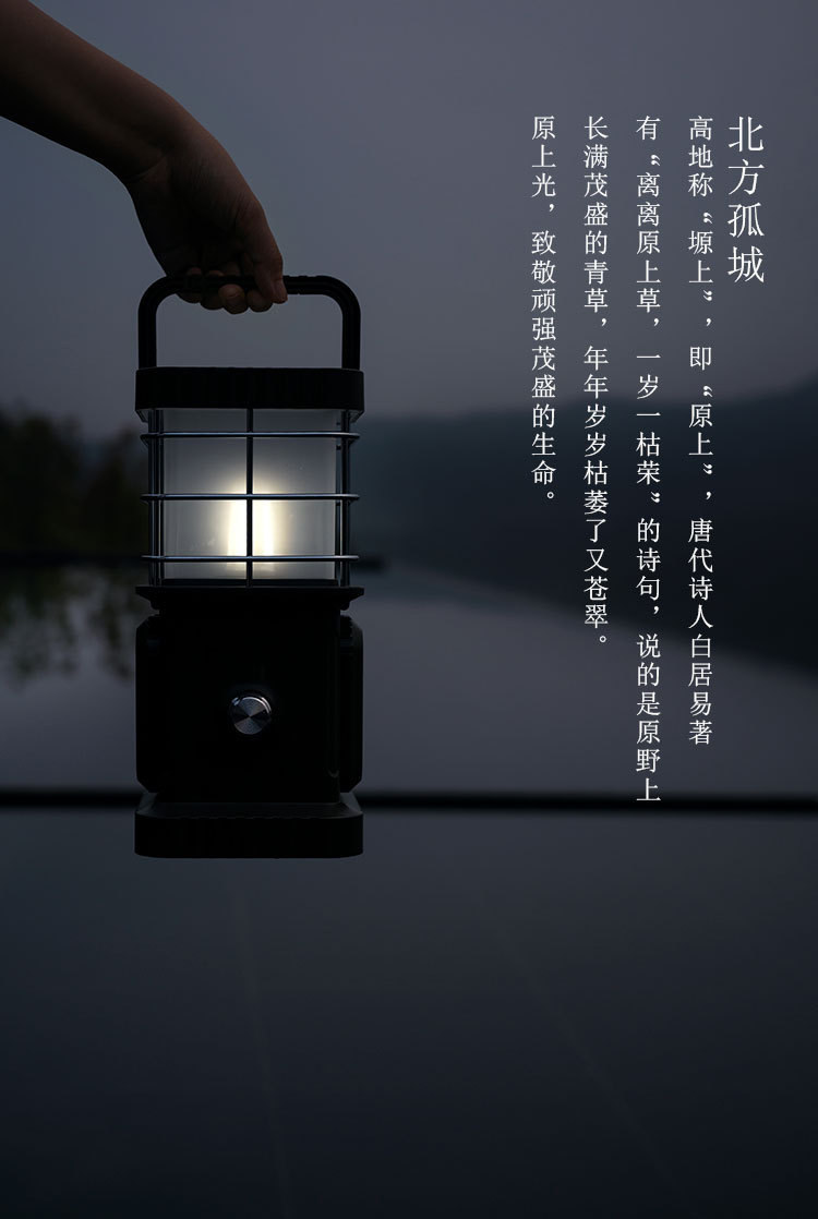 ysg_02.jpg