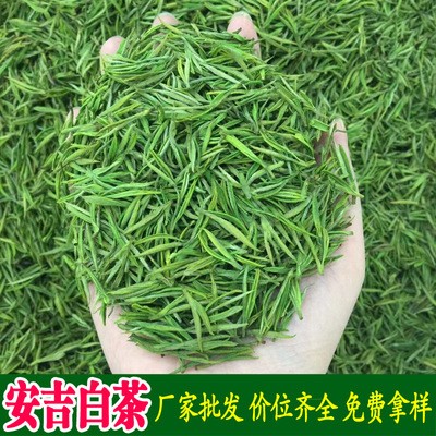 艾达福 安吉白茶 凤形 2021年新茶 明前头采 绿茶