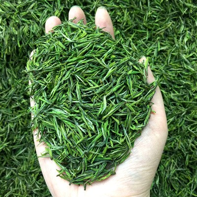 艾达福 安吉白茶 凤形 2021年新茶 明前头采 绿茶图4