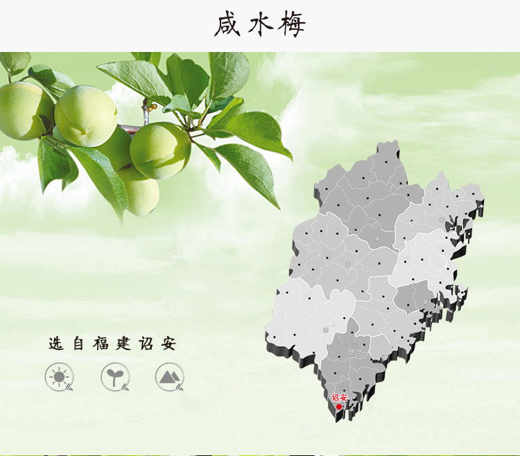 咸水梅（瓶装） (2).jpg