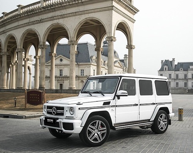 奔驰 AMG G63 2014款图2