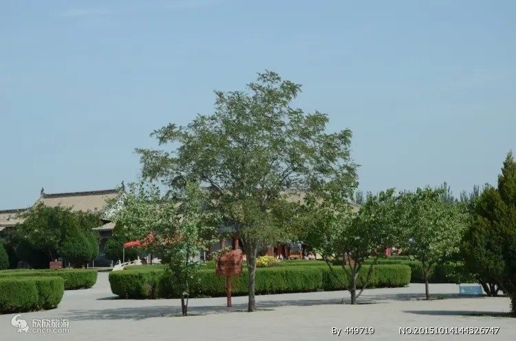 宁夏西夏王陵图4