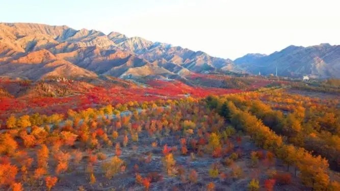 贺兰山风景区图3