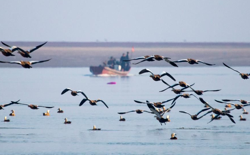 江西鄱阳湖图3