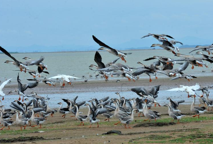 江西鄱阳湖图5