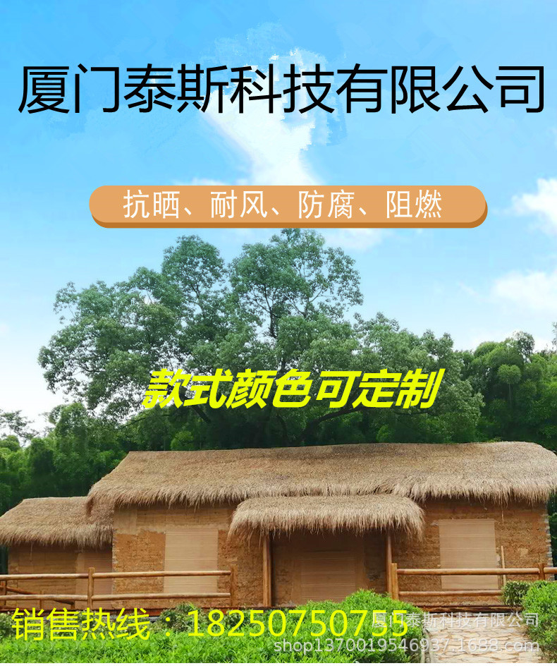 O1CN01tSU7cW2JcwaU8_!!33019194
