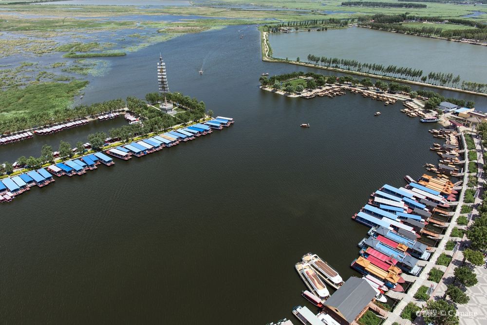 白洋淀风景区图5
