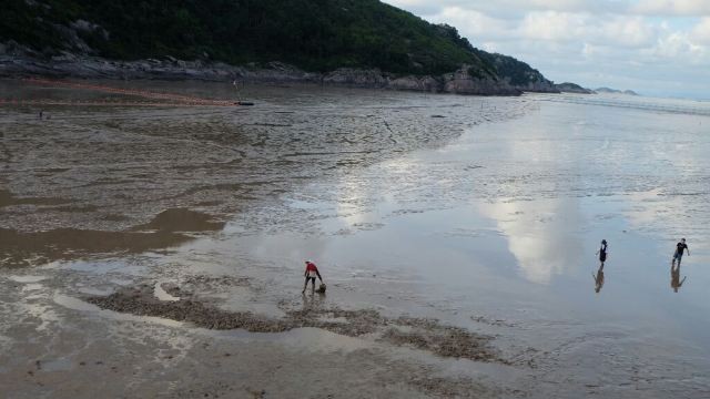 龙湾海滨景区图7