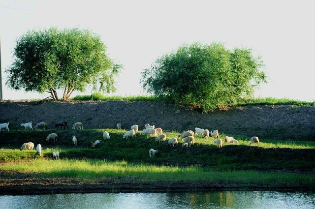 中国红海生态旅游景区