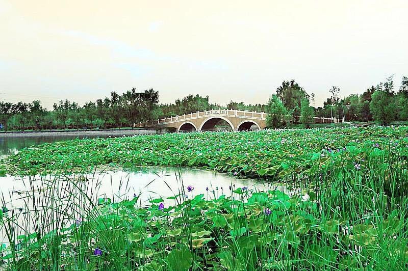 中原绿色庄园景区
