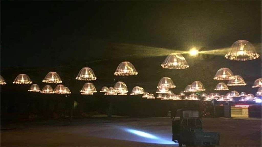 中原绿色庄园景区图6