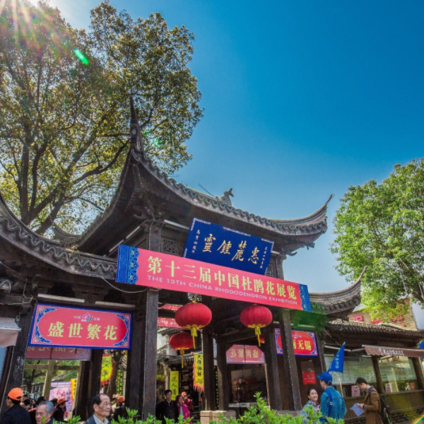 惠山古镇图6