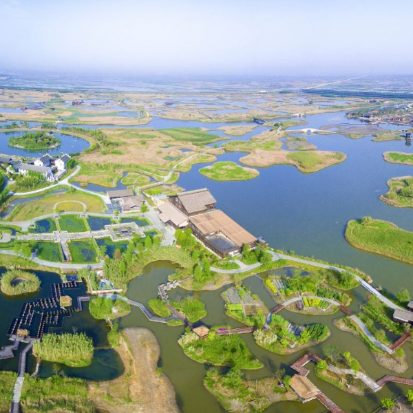 泗洪洪泽湖湿地图7
