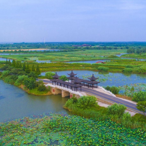 泗洪洪泽湖湿地图8