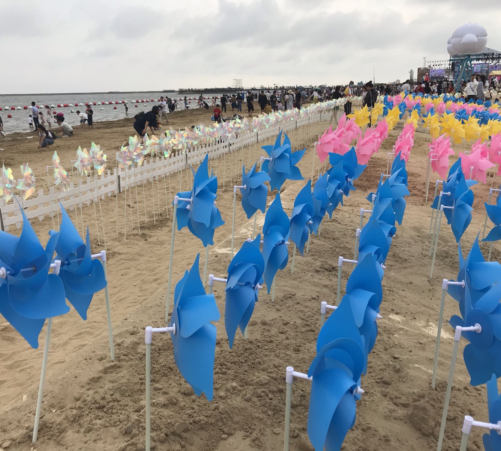 金山城市沙滩图4