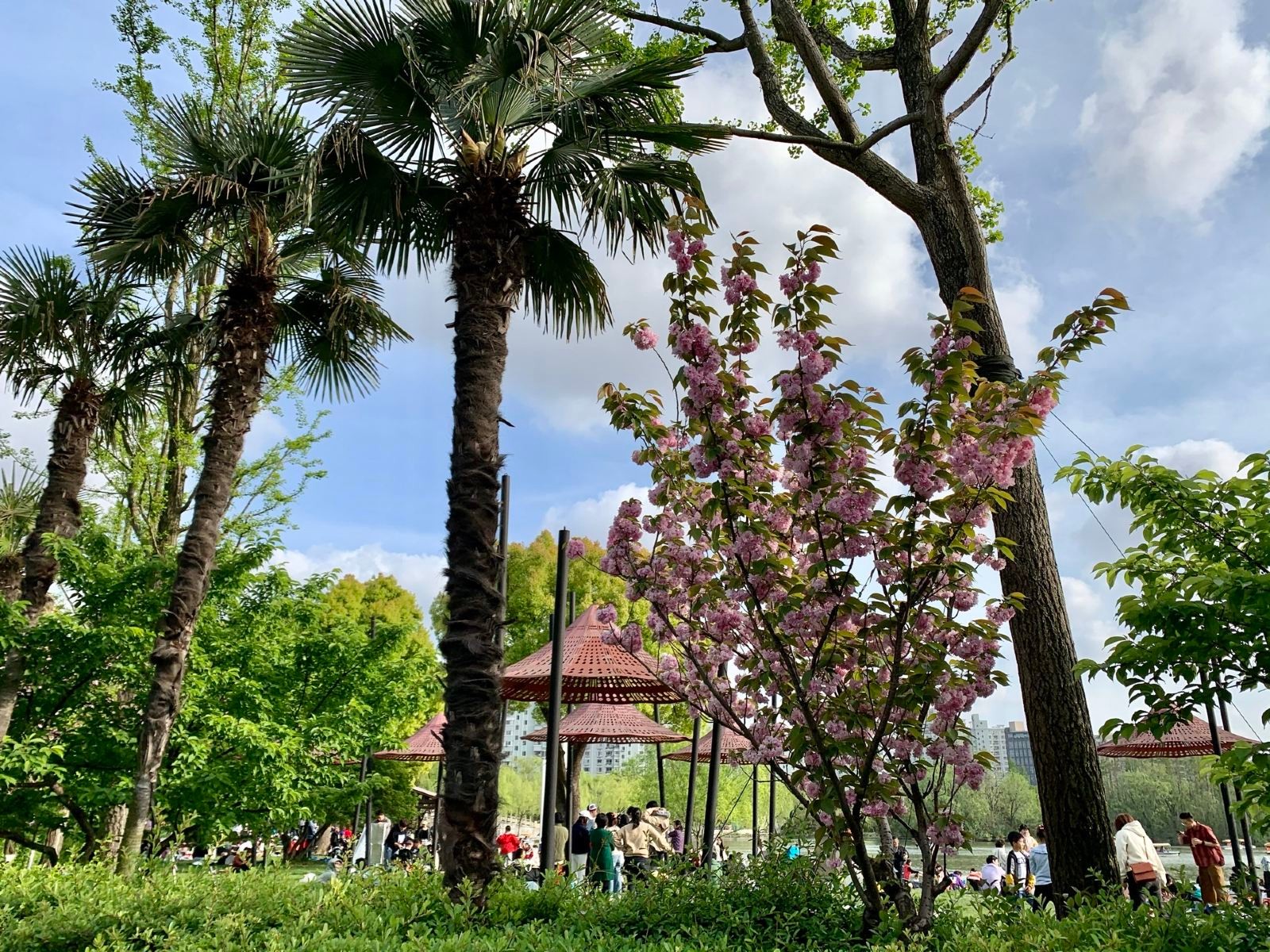 大宁灵石公园图3