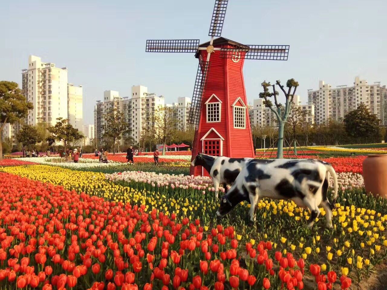 大宁灵石公园图6