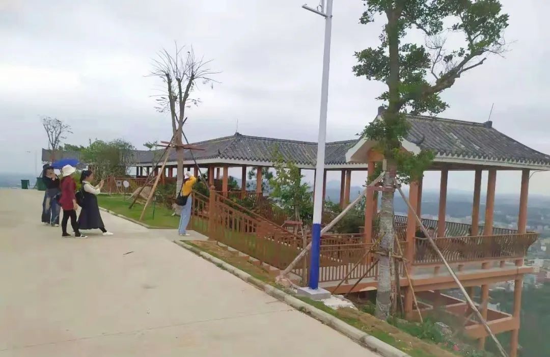 石龙山森林公园图2