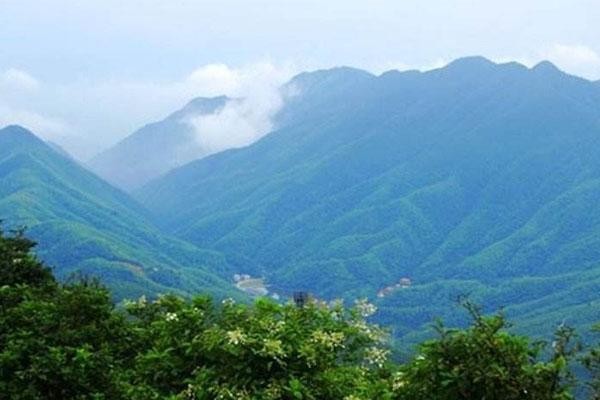 石龙山森林公园图6