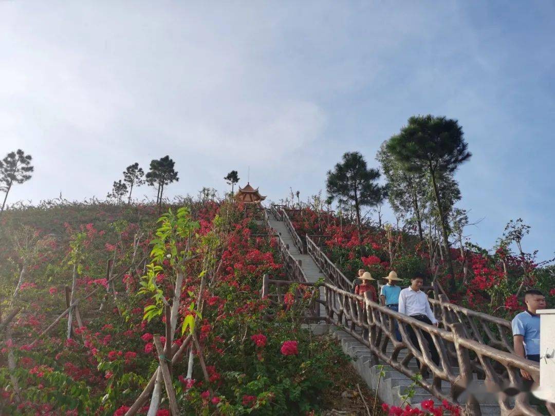 石龙山森林公园图3