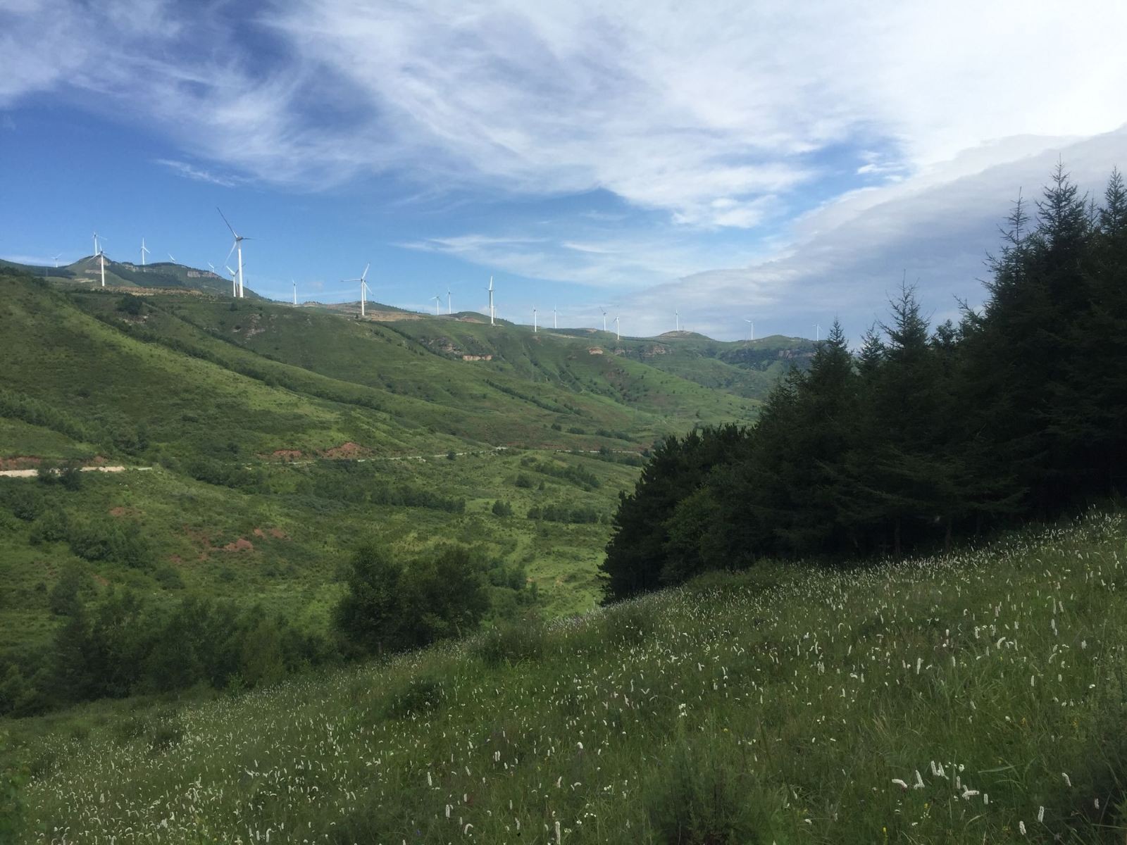 石龙山森林公园图8
