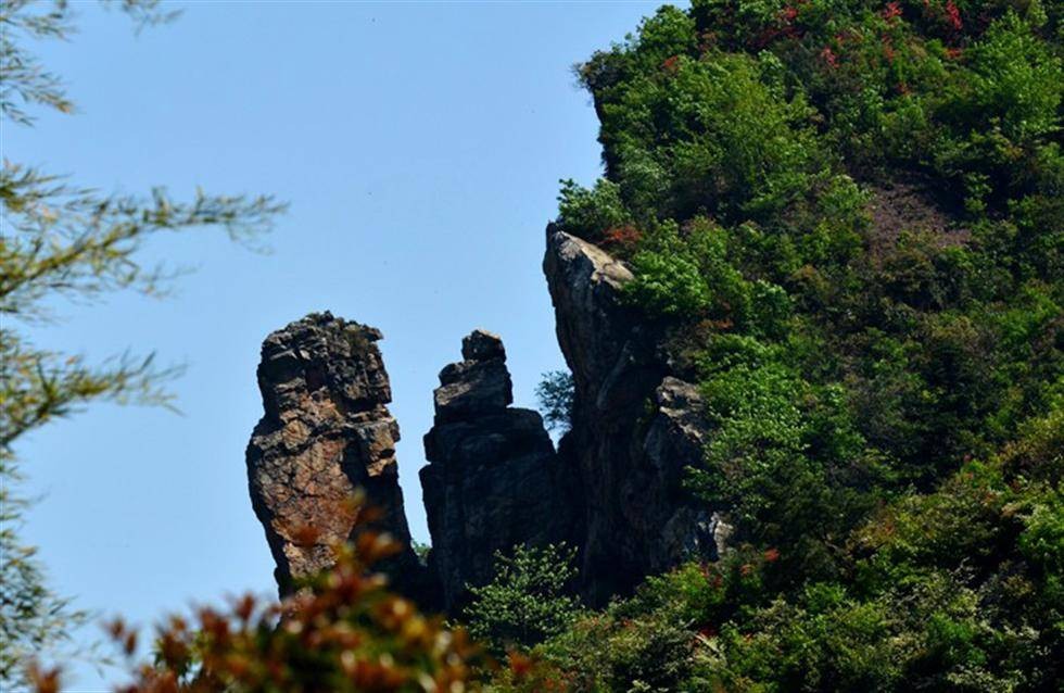 石龙山森林公园图4