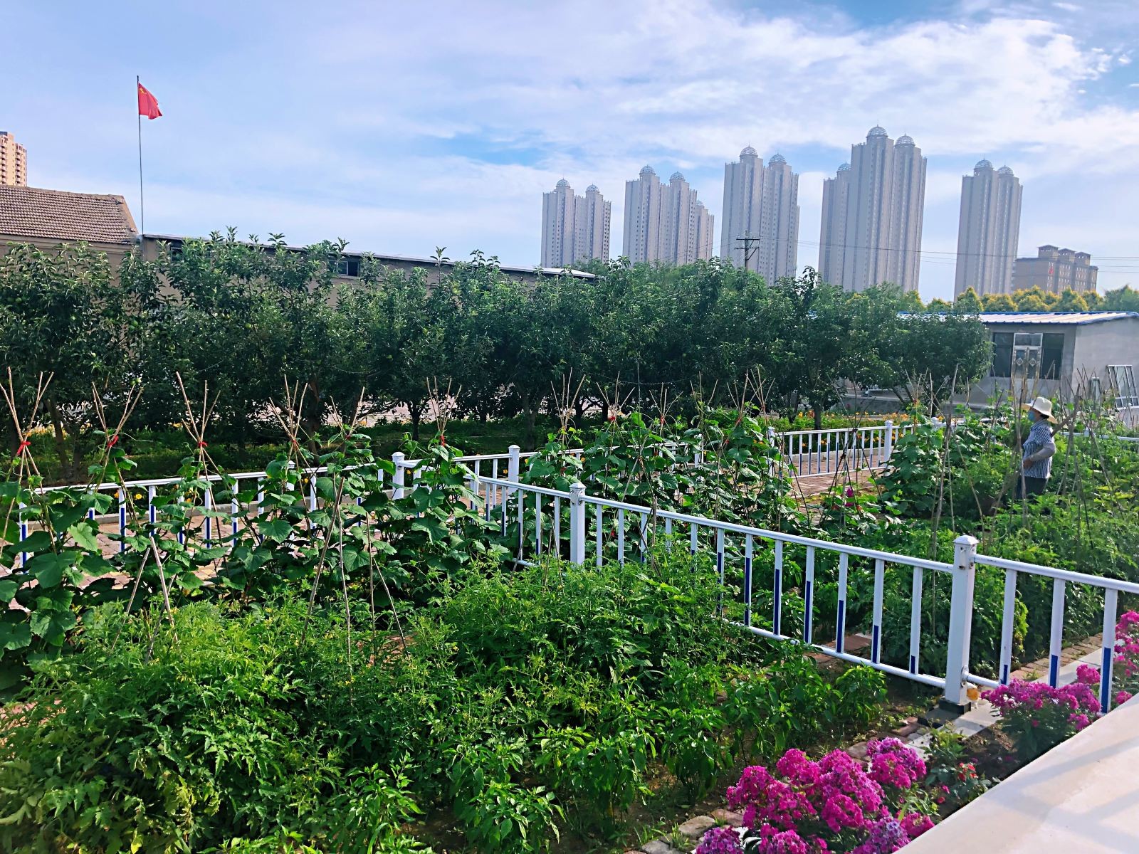 辽沈战役纪念馆图5
