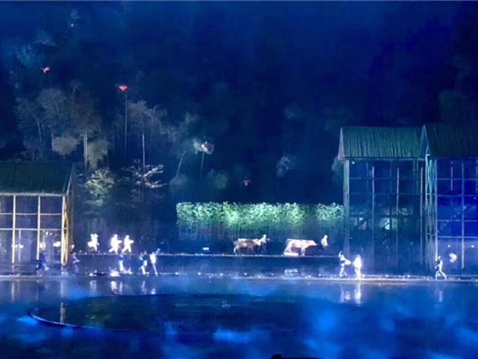 桃花江竹海风景区图4