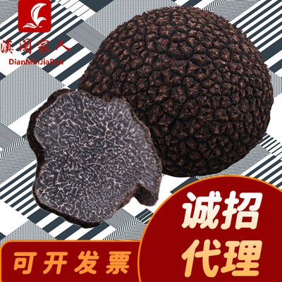 云南特产黑松露干片公菌干片块菌猪拱菌干货黑松露干货产地直销图3