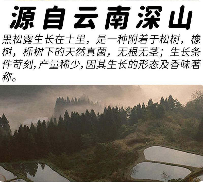 详情页分割图_03.jpg