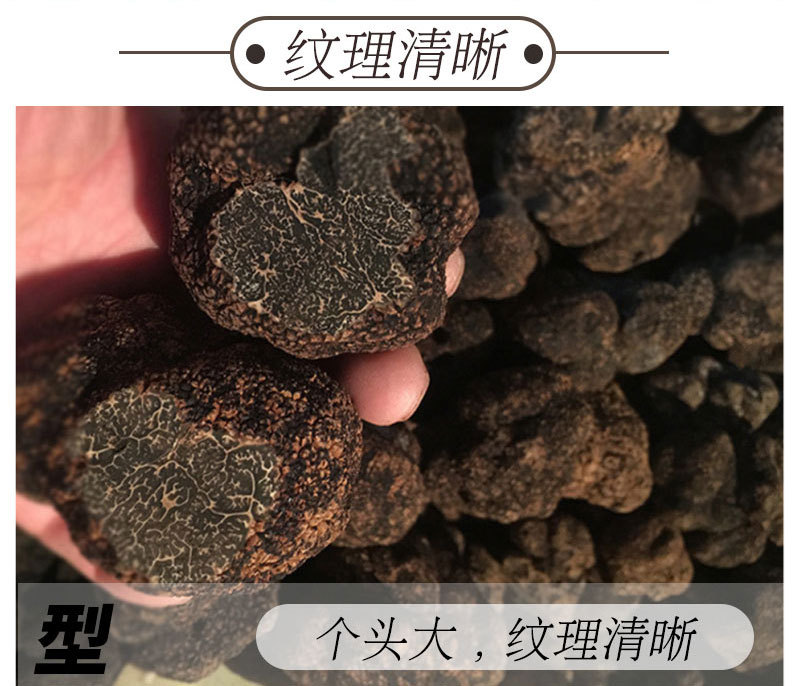 详情页分割图_06.jpg