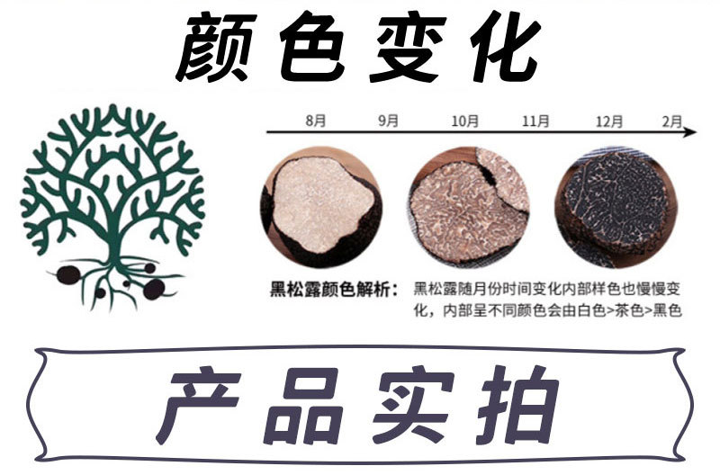 详情页分割图_04.jpg