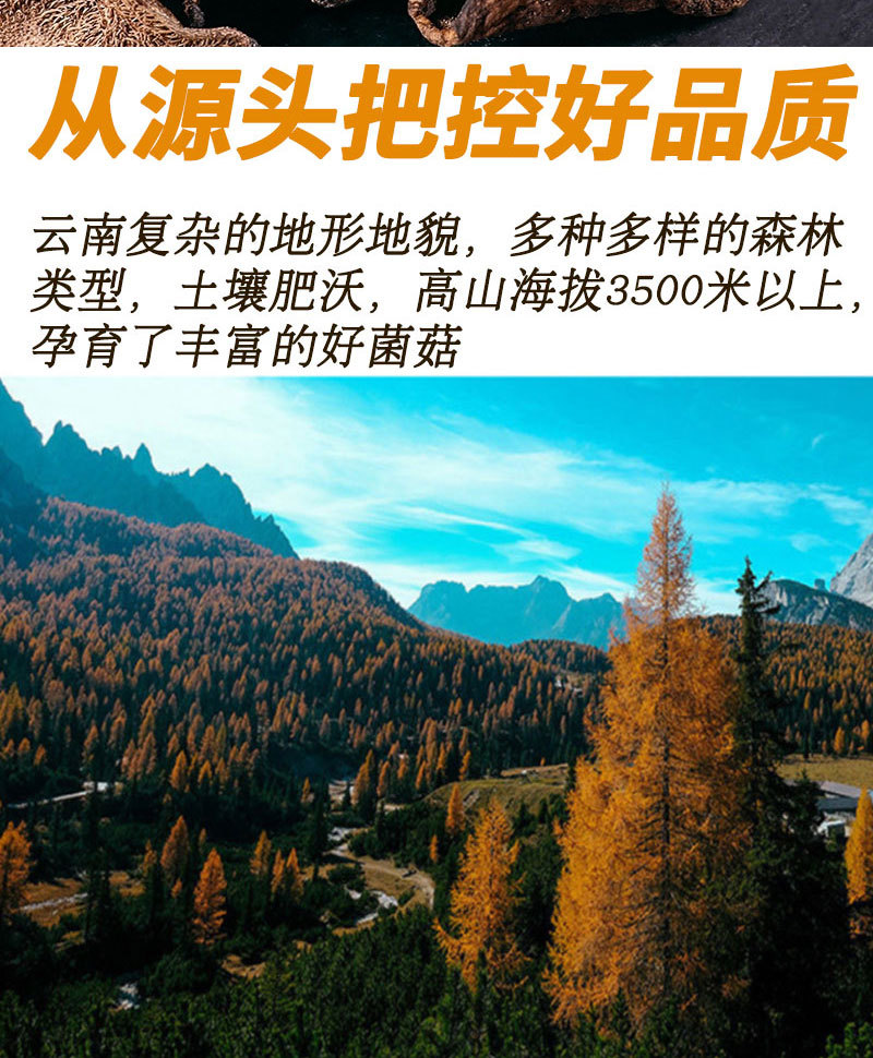 详情页-分割图_03.jpg
