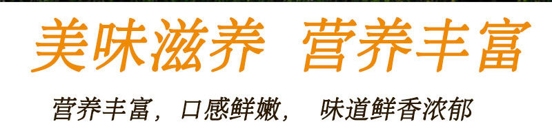 详情页-分割图_04.jpg