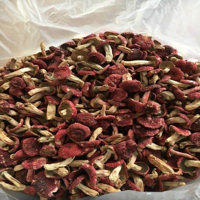 云南特产野生大红菇标菇红菇干货正红菇蓝底红菇菌菇煲汤产地批发图2