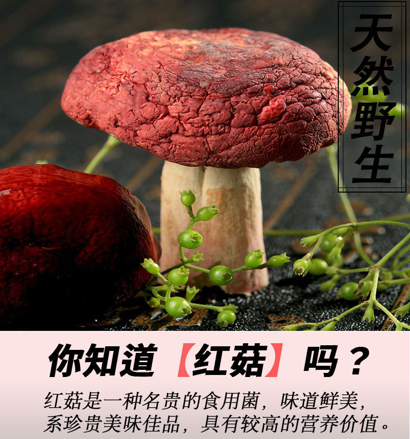 详情页-红菇_01.jpg