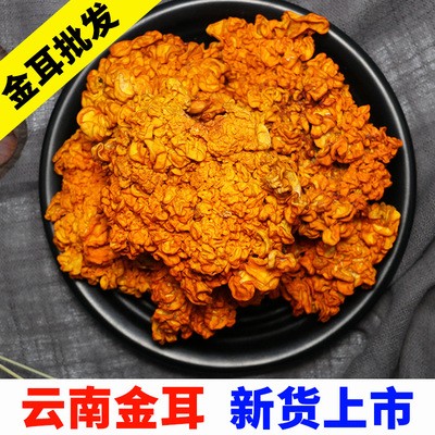 2020新货云南金耳 干货金耳菌批发 木耳黄耳脑耳产地 量大从优