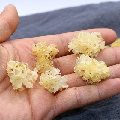 小银耳 通江银耳 椴木银耳 木耳雪耳糯耳干货代发散装500g批发图2