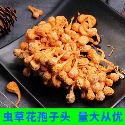虫草花孢子头 干货排草批发 炖煮煲汤料金虫草一件代发
