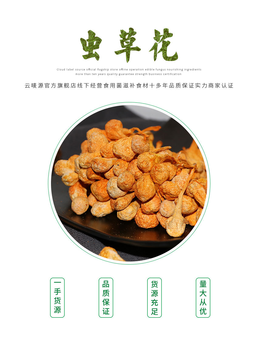 虫草花详情_01.jpg