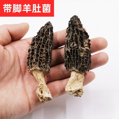 云南羊肚菌 干货食用菌 煲汤食材干货滋补品500g图2