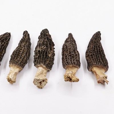 云南羊肚菌 干货食用菌 煲汤食材干货滋补品500g图5