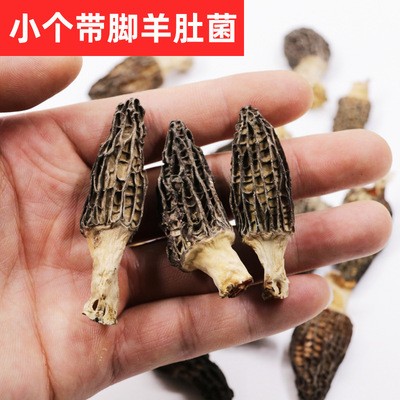 云南羊肚菌 干货食用菌 煲汤食材干货滋补品500g图4