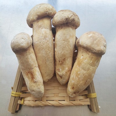 云南特产FD冻干松茸干货fd冻干松茸碎片松茸粉新鲜松茸整菇批发图2