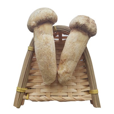 云南特产FD冻干松茸干货fd冻干松茸碎片松茸粉新鲜松茸整菇批发图5