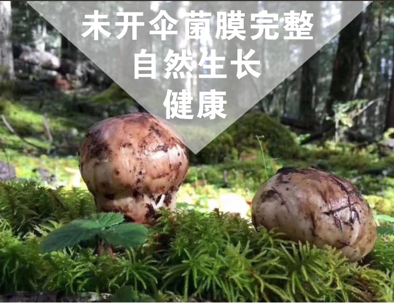详情页_02.jpg