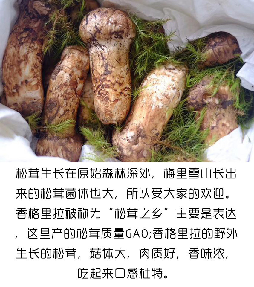 详情页_01.jpg