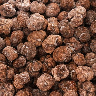 批发云南特产野外生长菌黑松露新鲜菌菇块菌猪拱菌冰鲜黑松露速冻图3