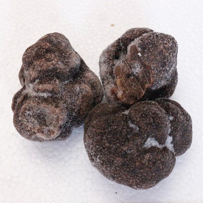 批发云南特产野外生长菌黑松露新鲜菌菇块菌猪拱菌冰鲜黑松露速冻图5